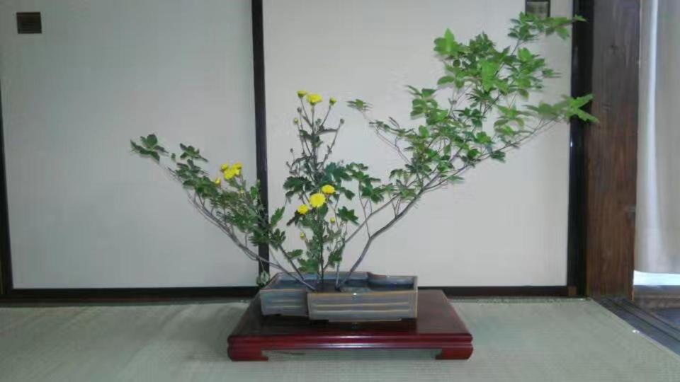 Guest House 鎌倉記憶 Kamakura Eksteriør billede